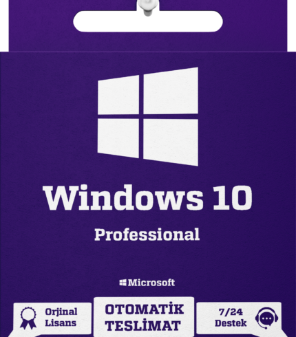 windows-10-professional