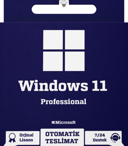 windows-11-professional